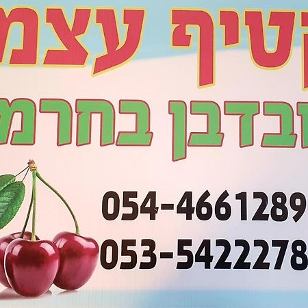 צימרים בגולן דובדבן בחרמון Mas'ada Eksteriør billede