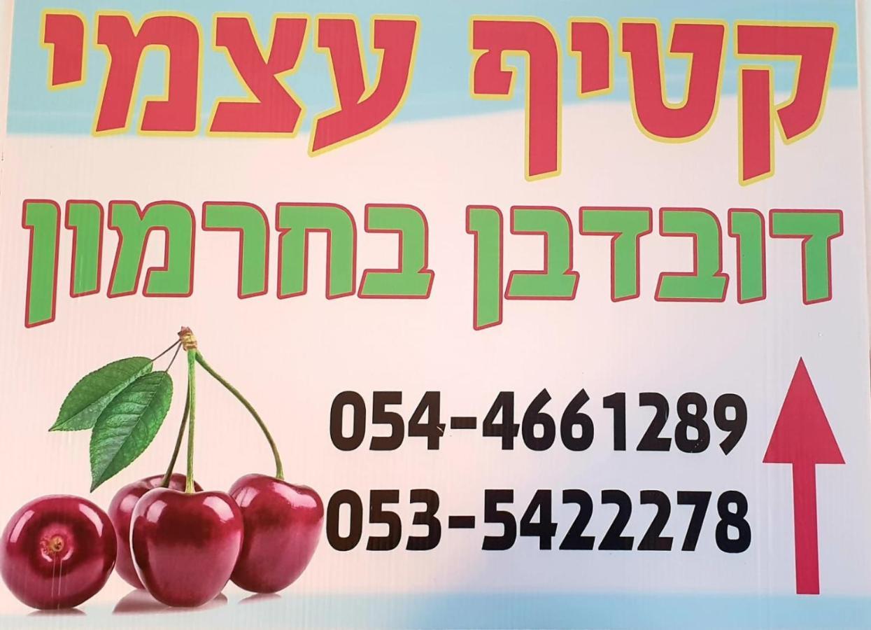 צימרים בגולן דובדבן בחרמון Mas'ada Eksteriør billede